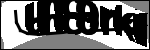 متن برای شناسایی