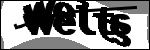 متن برای شناسایی