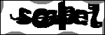 متن برای شناسایی