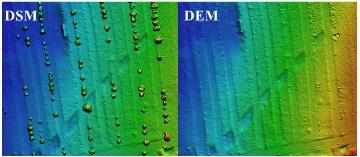 برآورد ارتفاع درختان سرو نقره­ای با استفاده از تصاویر پهپاد