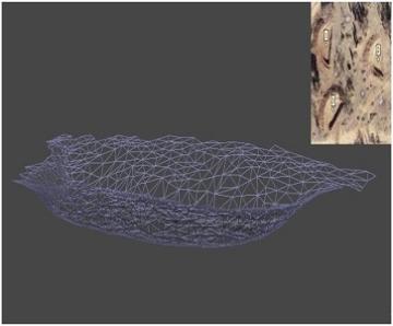 برآورد حجم بانکت­ها با استفاده از فتوگرامتری پهپاد مبنا