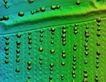 قابلیت تصاویر پهپاد در برآورد سطح تاج ­پوشش تک درختان