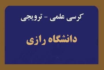 بررسی پیامد‌های فقهی تغییر جنسیت زوجین بر عناوین نسبی، سببی و ارث