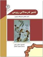 ئه میر ئه رسه لانی روومی (امیرارسلان رومی)