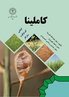 کاملینا: گیاهی کم توقع و سازگار