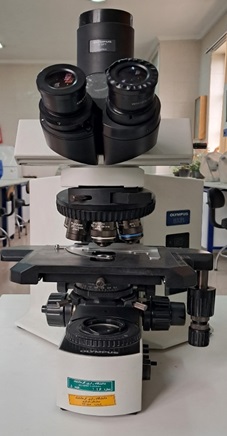 Third Responsive Image