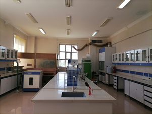 Second Responsive Image