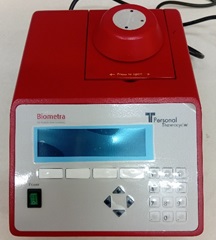 Second Responsive Image