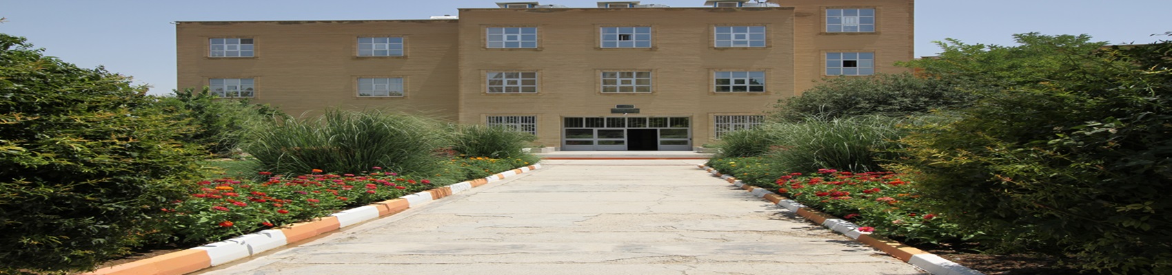 First Responsive Image