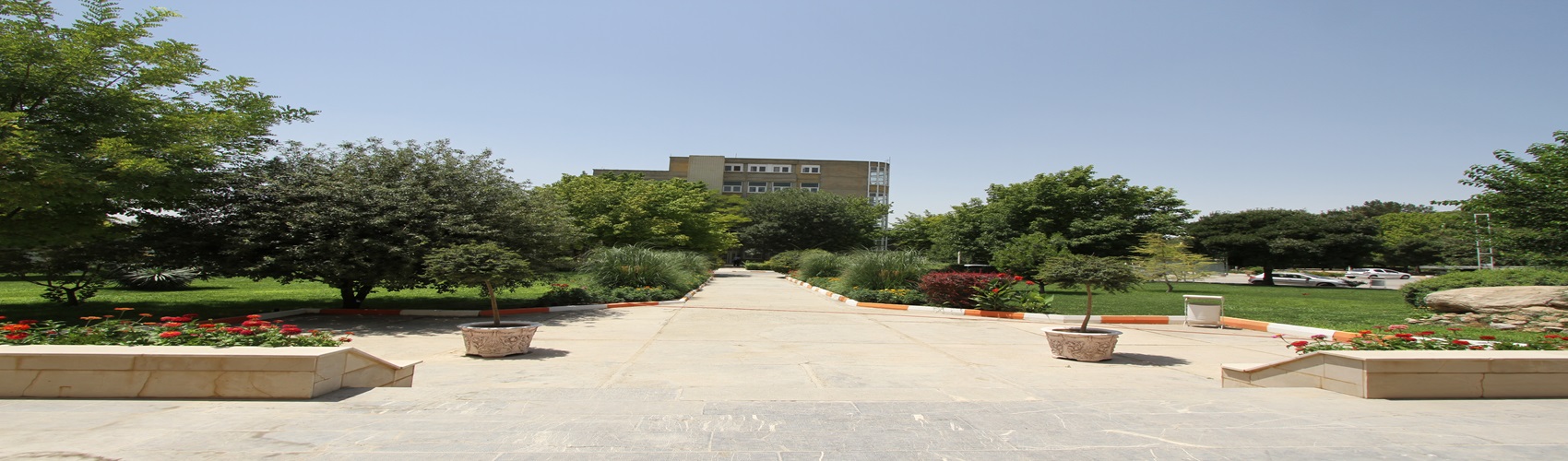 Second Responsive Image