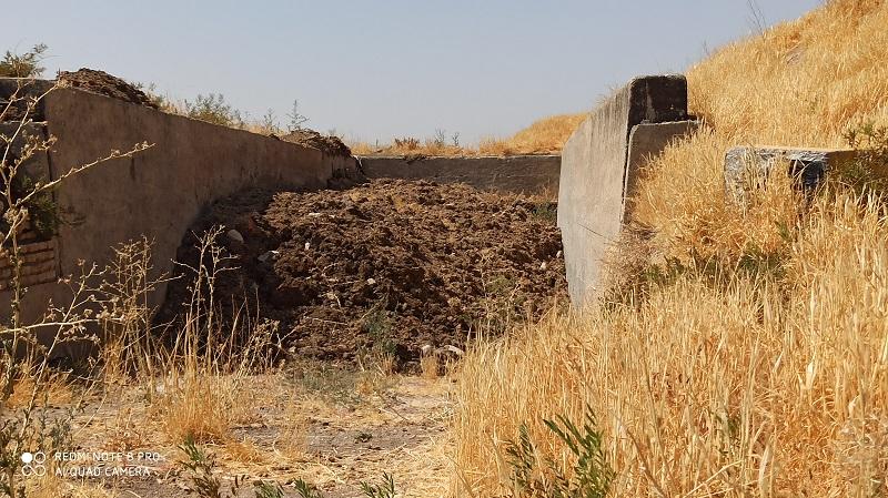 تولید کود حیوانی و کمپوست در دانشگاه رازی کرمانشاه