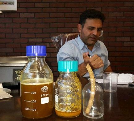 روغن کاملینا جایگزینی مناسب برای کلزا