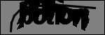 متن برای شناسایی