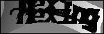 متن برای شناسایی