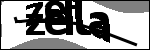 متن برای شناسایی